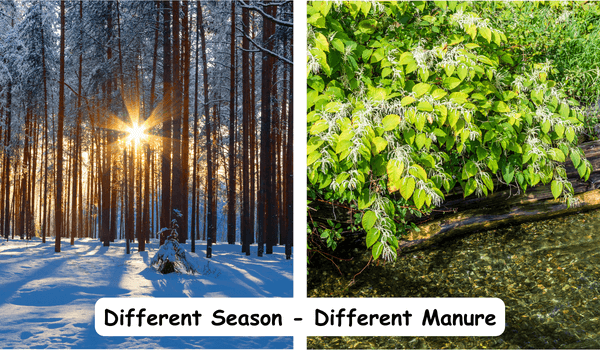 Different season different manure