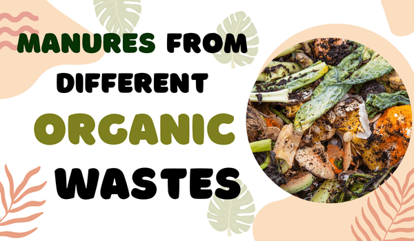 Manures from different organic wastes