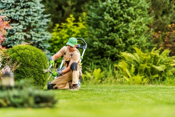 Gardener Pruning and trimming a plant