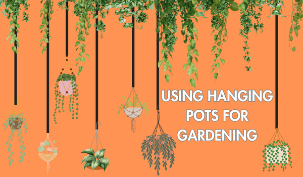 Hanging Pot