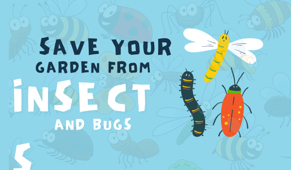 Save your Garden From Insects