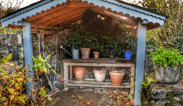 Plants under Shades