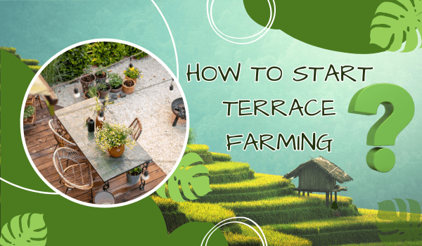 How to start terrace farming